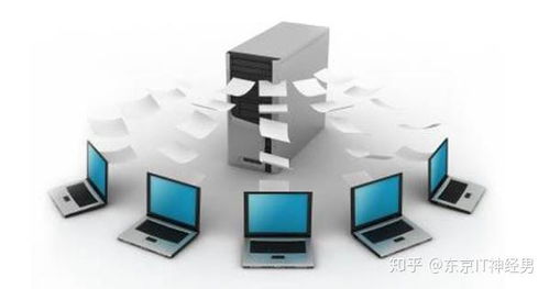 软件工程专业与票务代理服务的关联与应用